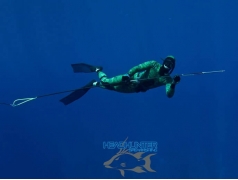 Headhunter Predator Roller Pole Spear