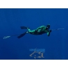 Headhunter Predator Roller Pole Spear