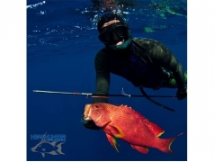 Headhunter Predator Roller Pole Spear