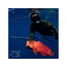 Headhunter Predator Roller Pole Spear