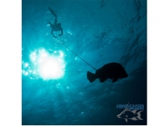 Headhunter Predator Roller Pole Spear