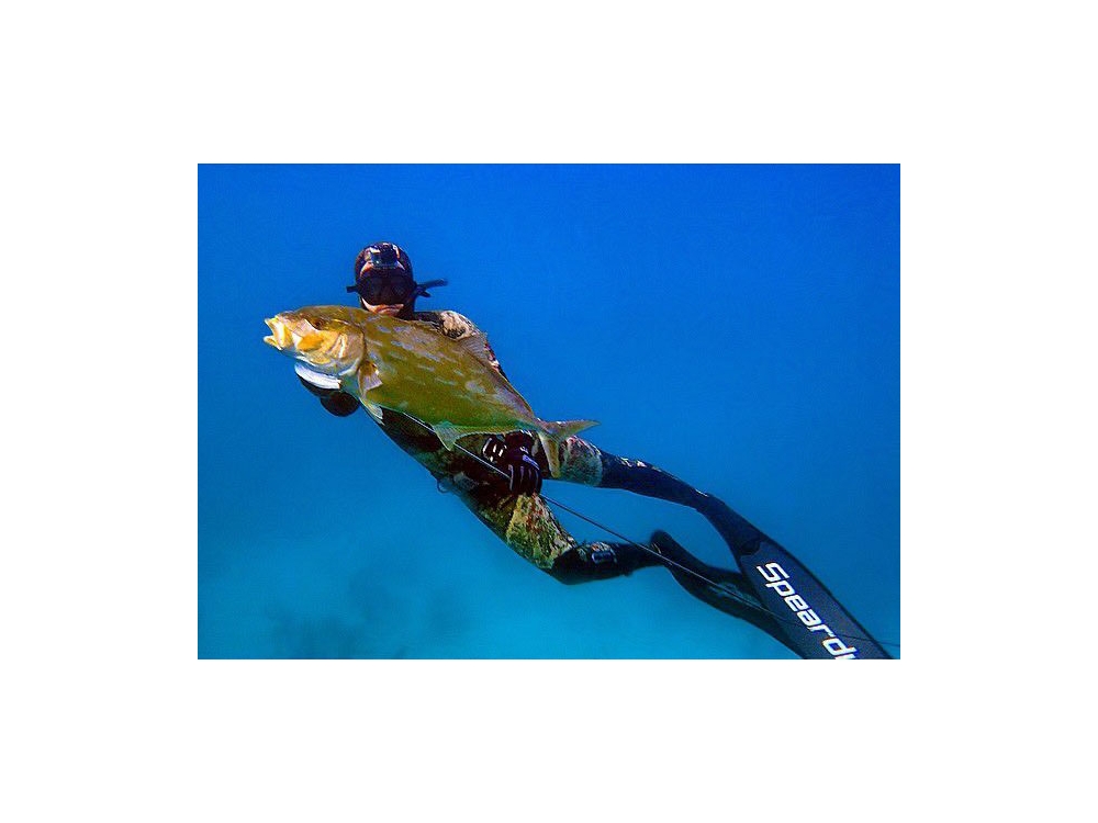 Muta Speardiver Raptor 2 Pezzi – 3mm O 5mm – A Cella Aperta – Mimetica – Nuova