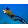 Speardiver Reef Spearfishing Wetsuit