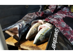 Speardiver C90 Carbon Fins