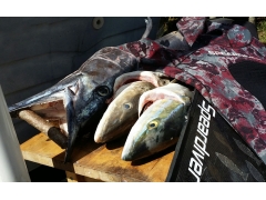 Speardiver C90 Carbon Fins