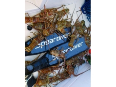 Speardiver C90 Carbon Fins