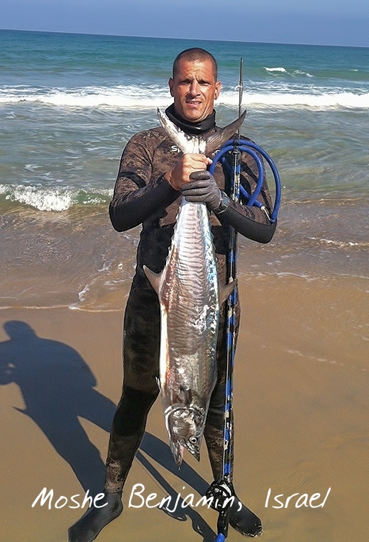 mosheking.jpg